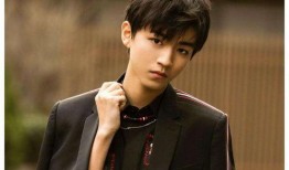 刘大锤爆料王俊凯视频,揭秘明星幕后生活瞬间